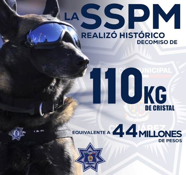 Cristal decomisado por el grupo K-9 equivale a 44 millones de pesos