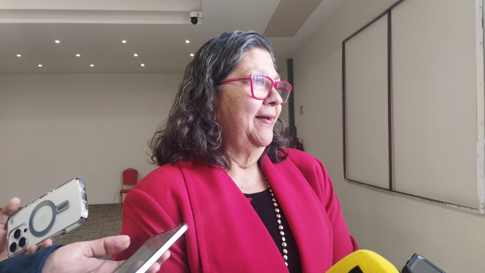 Incertidumbre seguirá generando la pérdida de empleos.