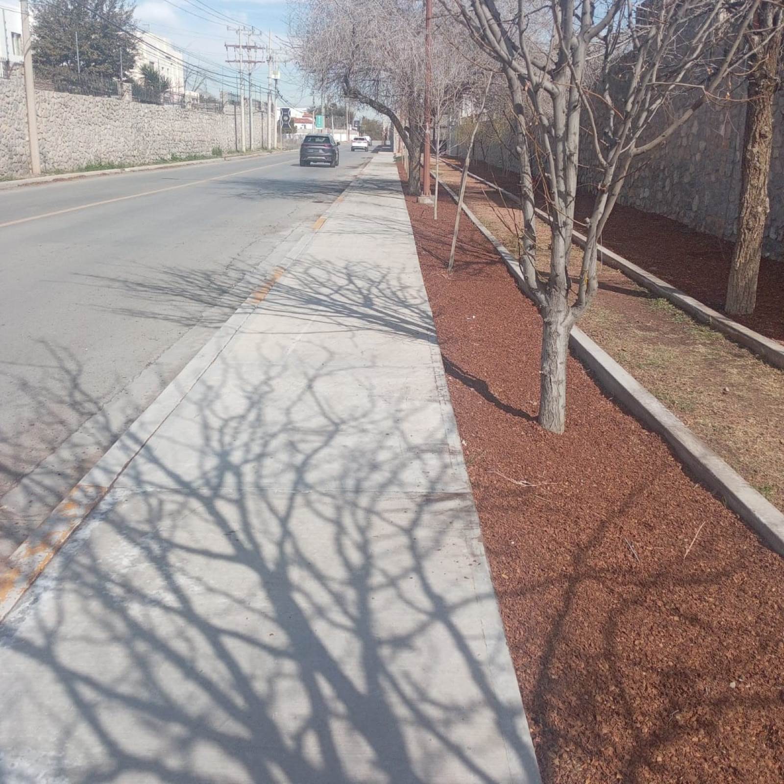 Acondicionan andador de Camino a Escudero