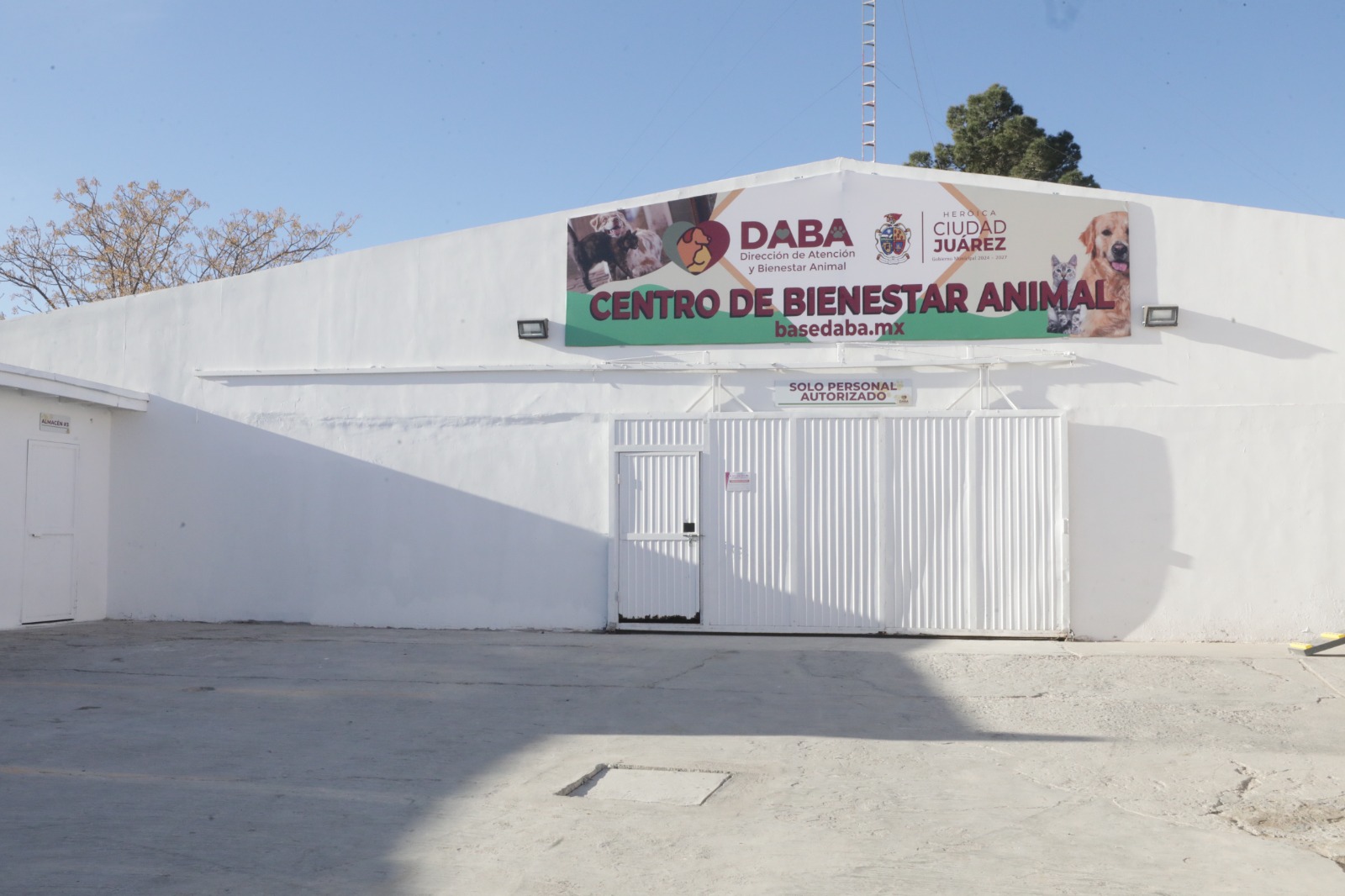 Recibe Centro de Bienestar Animal a 40 animales rescatados