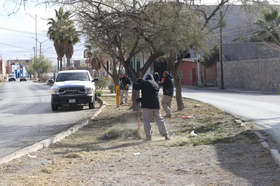 Realizan mantenimiento en el camellón de la avenida Hermanos Escobar