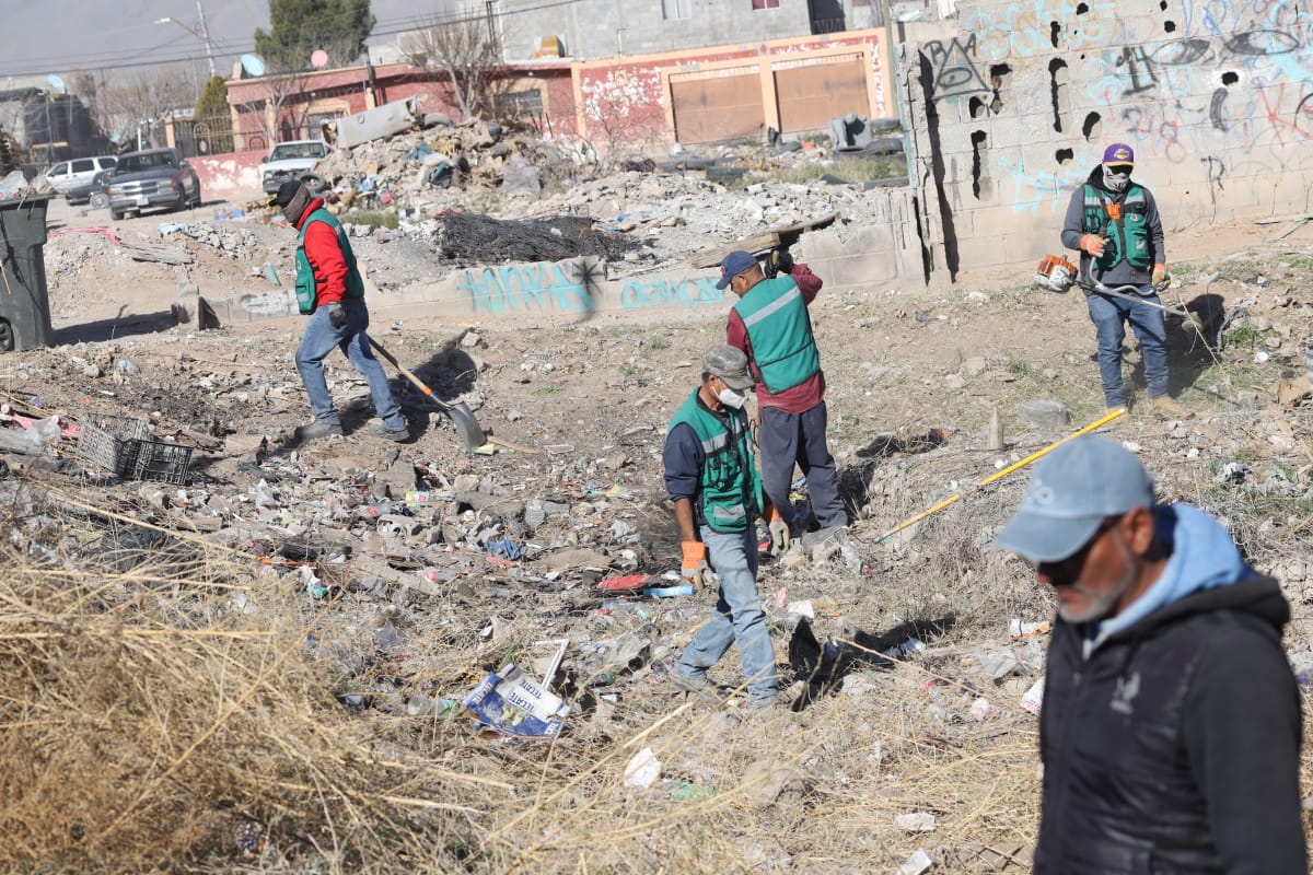 Continúan labores de limpieza en Valle de Olivos