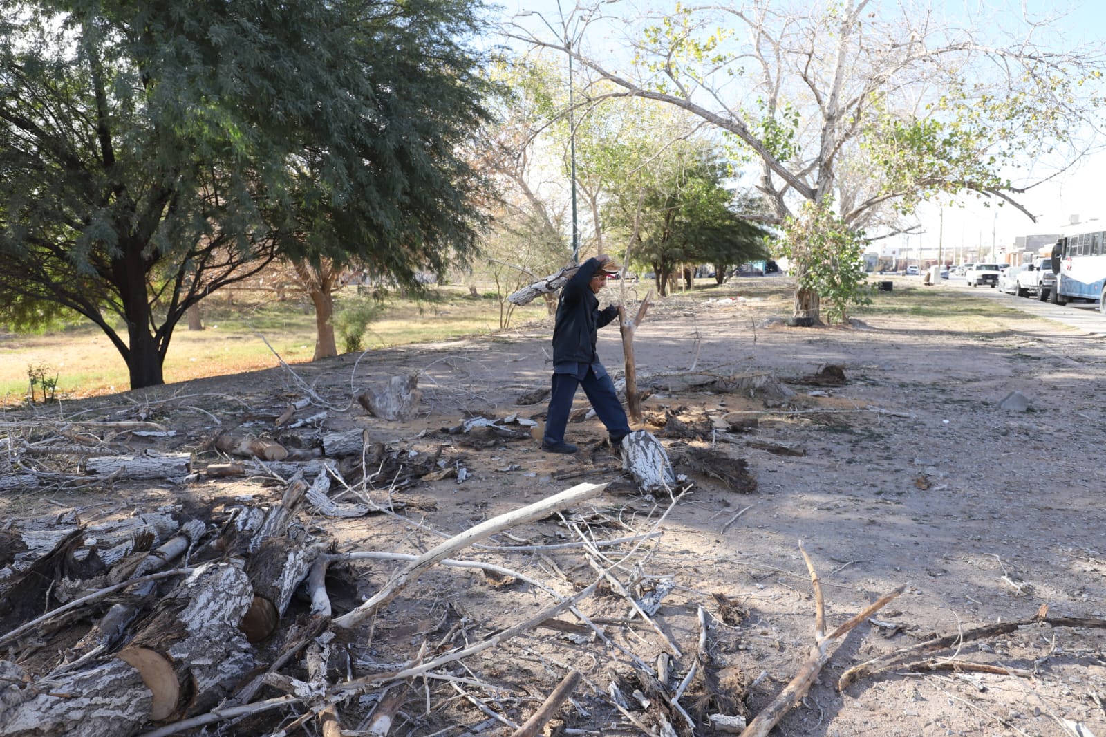 Realizan mantenimiento en áreas verdes de Hacienda de las Torres Universidad