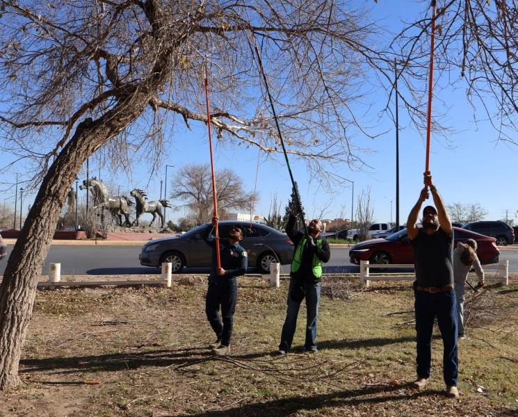 Taller de Poda: Capacitan a Podadores Autorizados en el Parque El Chamizal