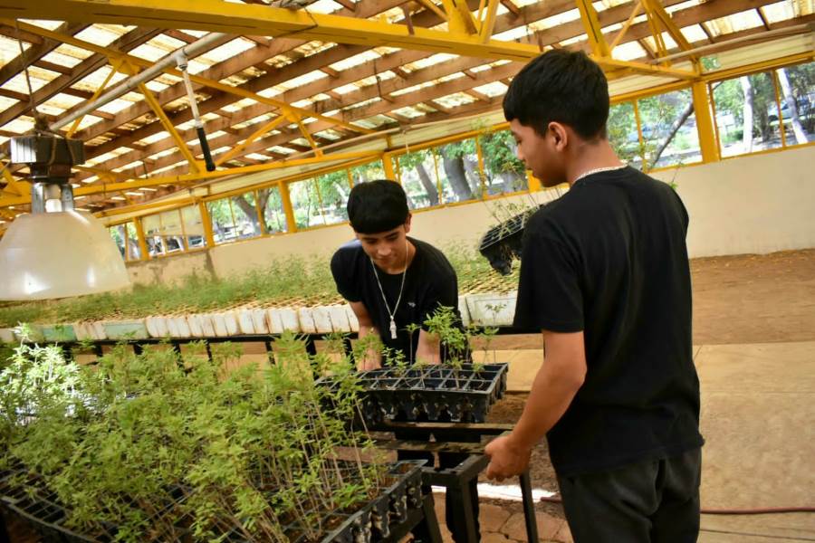 Mañana sábado jornada de voluntariado en el vivero de El Chamizal