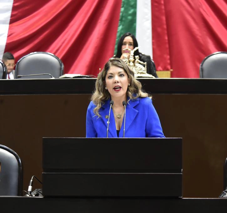 Llama diputada a la madurez política, a la civilidad y a no politizar el tema de seguridad pública.