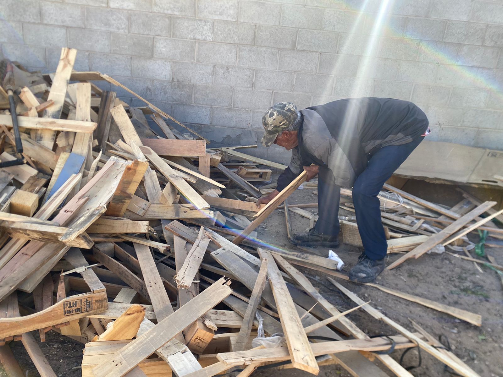 Continúa entrega gratuita de leña limpia