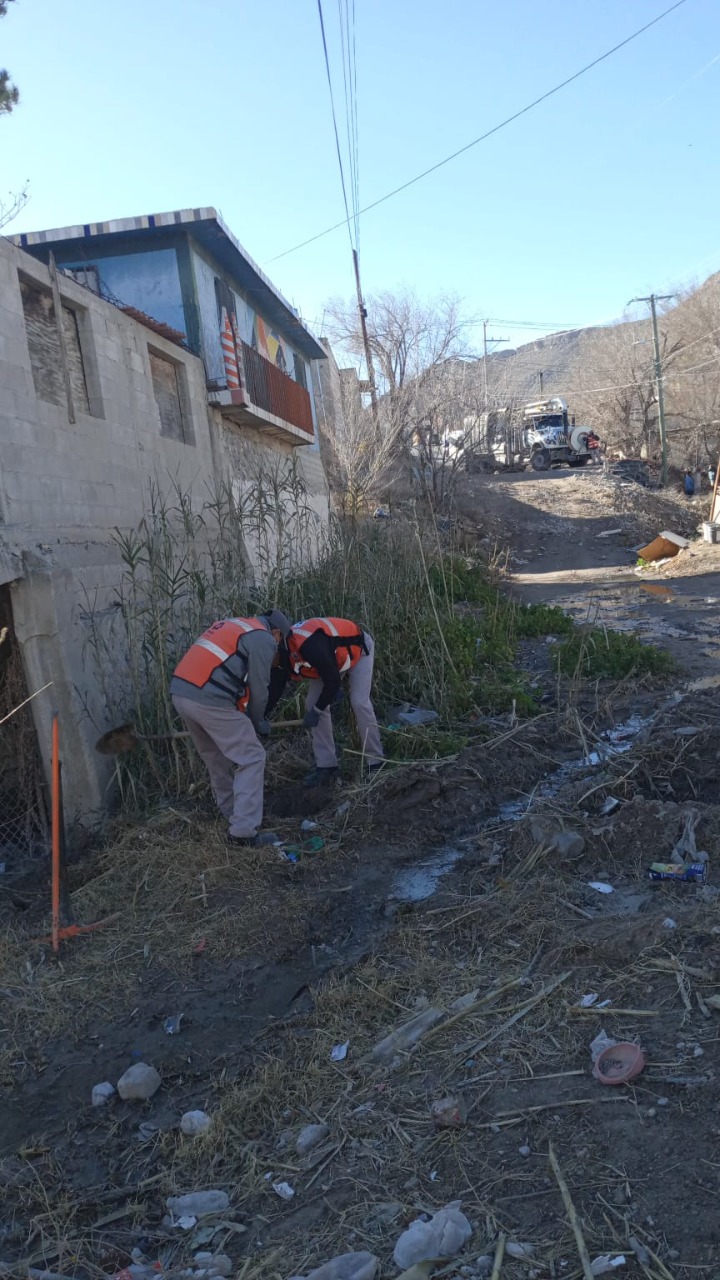 Reparó la JMAS brote de aguas negras