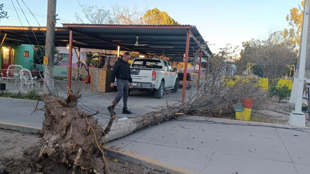 Las zonas norte y centro de la entidad mayor afectadas por fuertes vientos