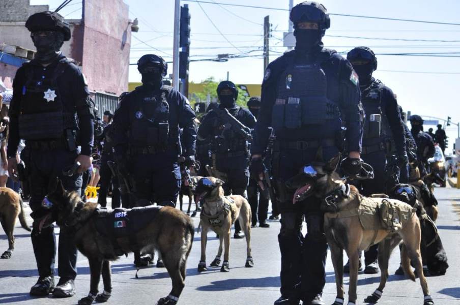 Efectuó “Grupo K9” de la SSPM importantes aseguramientos durante el 2023