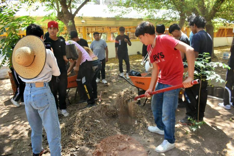 Reactiva Parques y Jardines jornadas de voluntariado en el vivero de El Chamizal