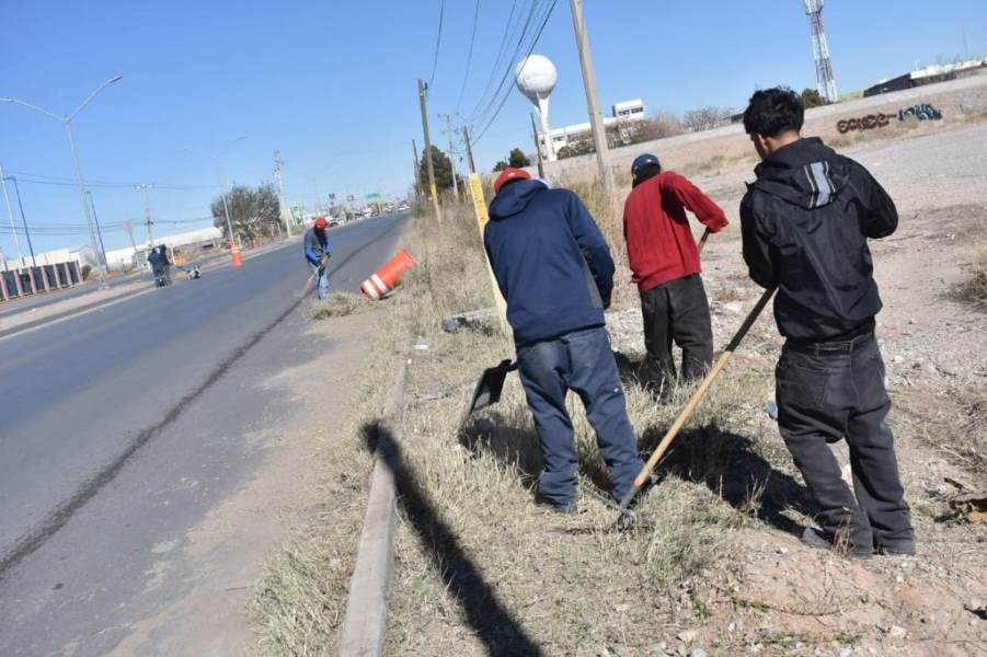Otorgan mantenimiento a camellones en las principales avenidas