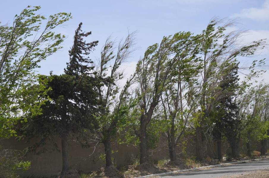 Emiten alerta y recomendaciones por bajas temperaturas