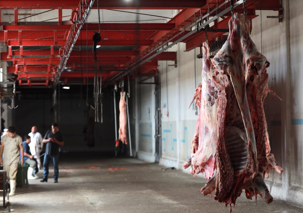 Aumentó 10% el sacrificio de animales en el Rastro Municipal por temporada decembrina.