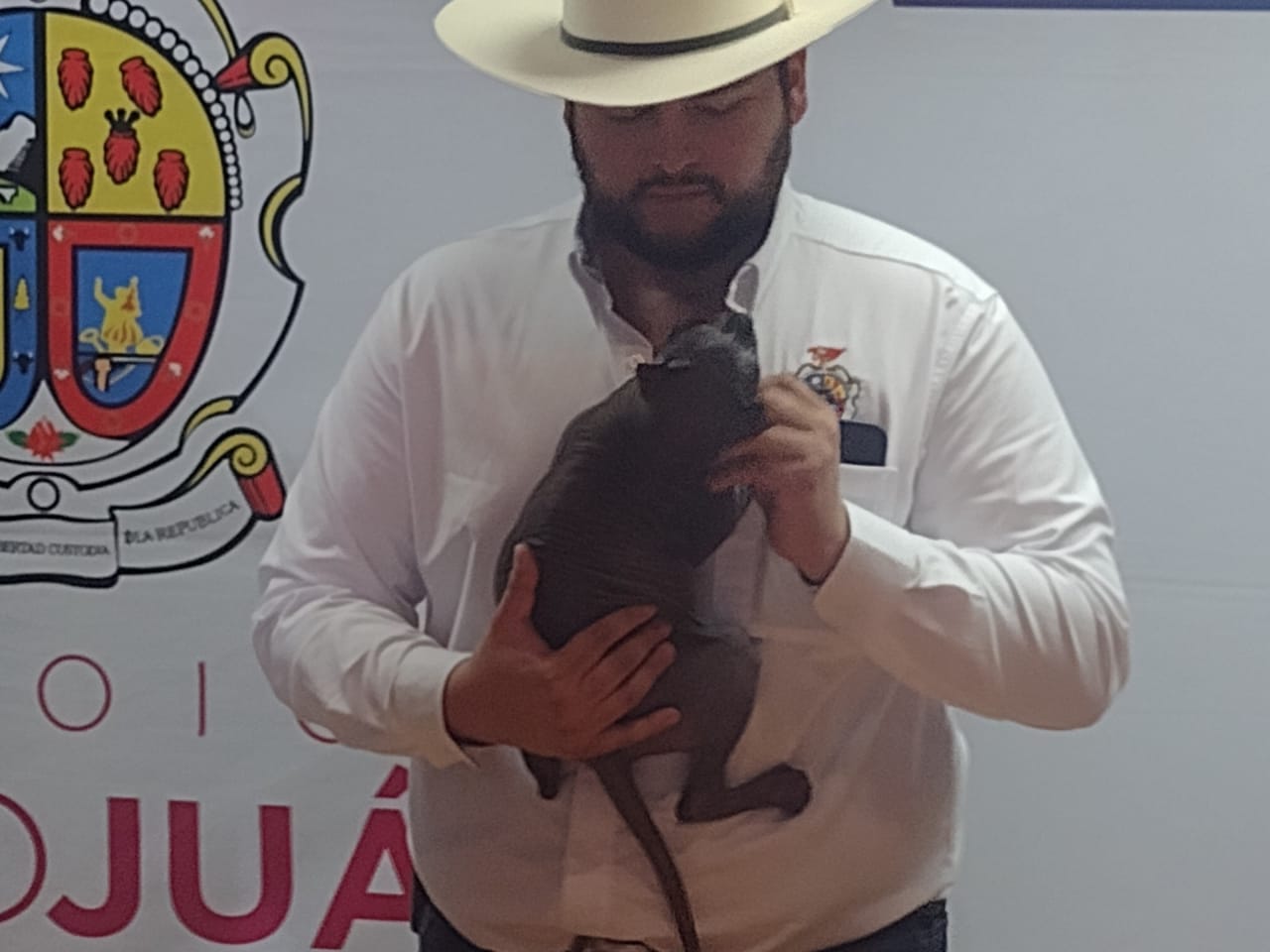 Ponen en adopción al gato egipcio que fue rescatado del CERESO.