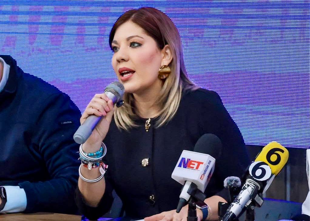 Se debe garantizar la no infiltración de la delincuencia en elecciones.