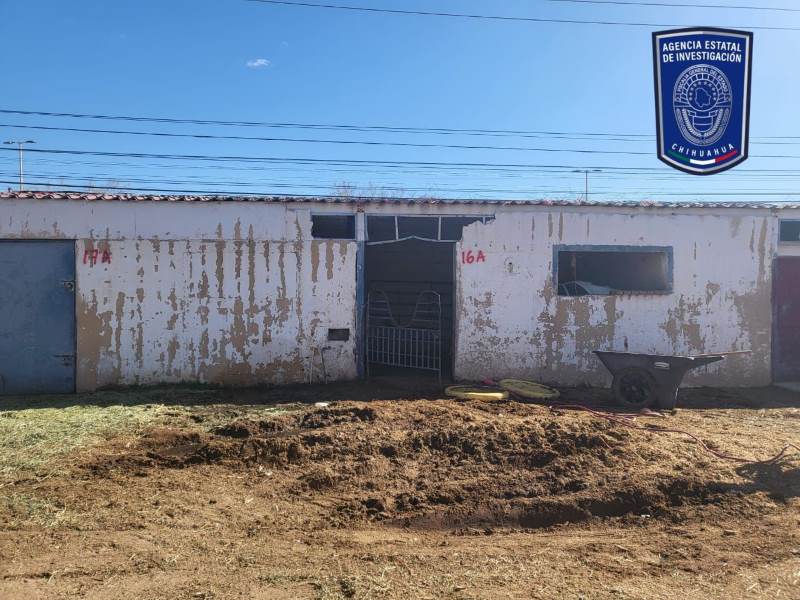 Catea FGE lienzo charro y asegura dos yeguas