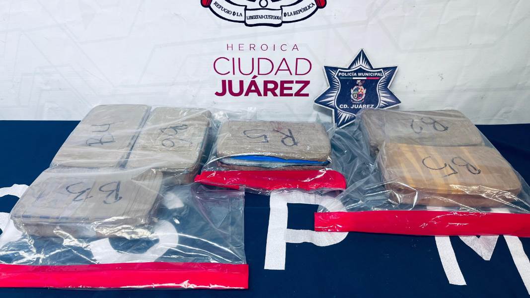 Decomisa SSPM droga y logra detención de delincuentes en operativos  especiales