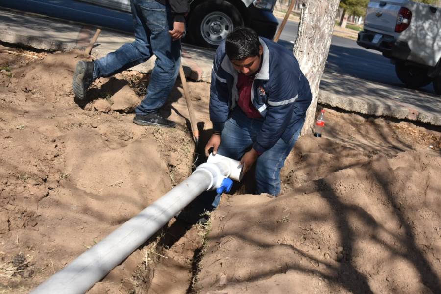 Continúa Parques y Jardines en la instalación de sistema del riego en El Chamizal