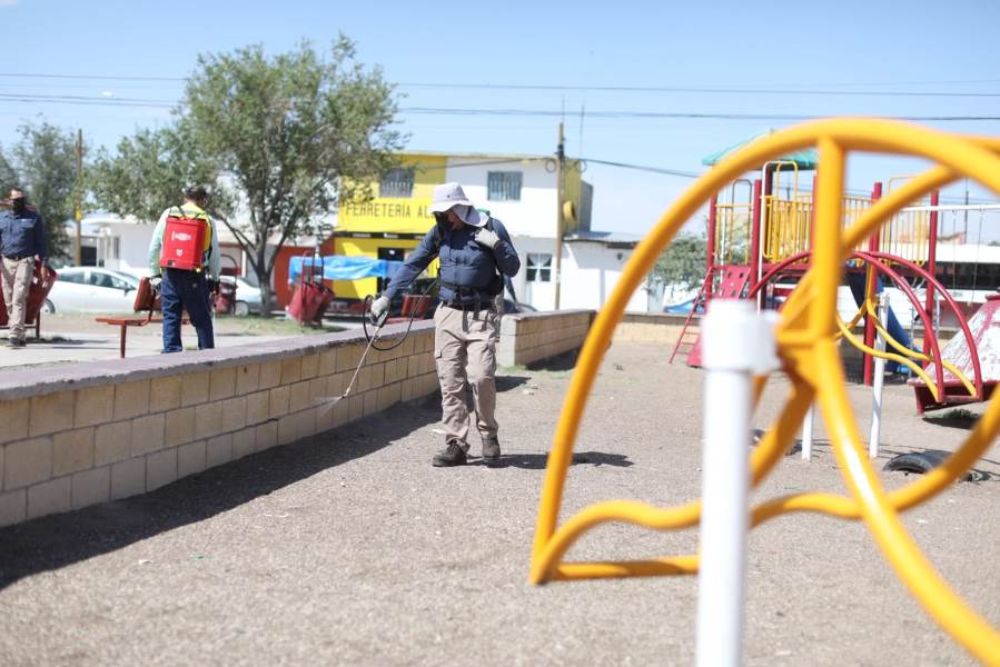 Inician fumigaciones masivas contra la garrapata en Riberas del Bravo
