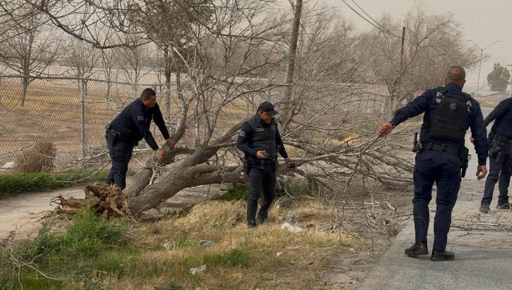 SSPM realiza 29 apoyos por fuertes vientos en la ciudad