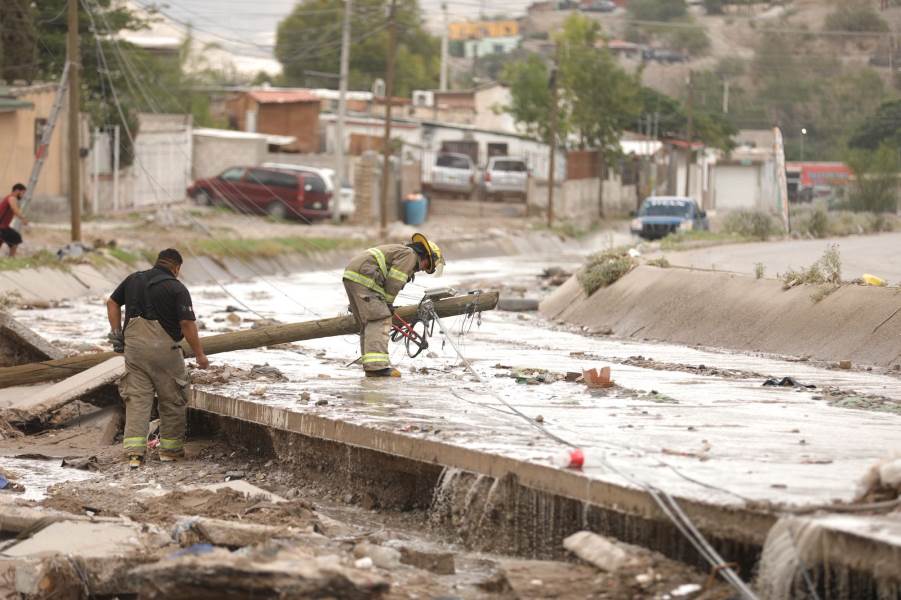 Avanza limpieza en Arroyo de las Víboras