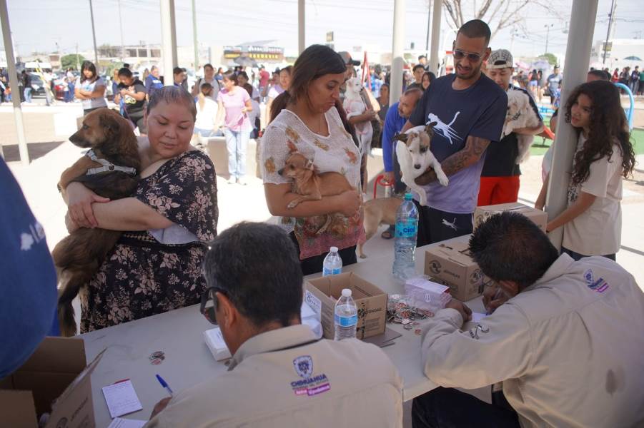 Llaman a prevenir enfermedades transmitidas de animales a personas