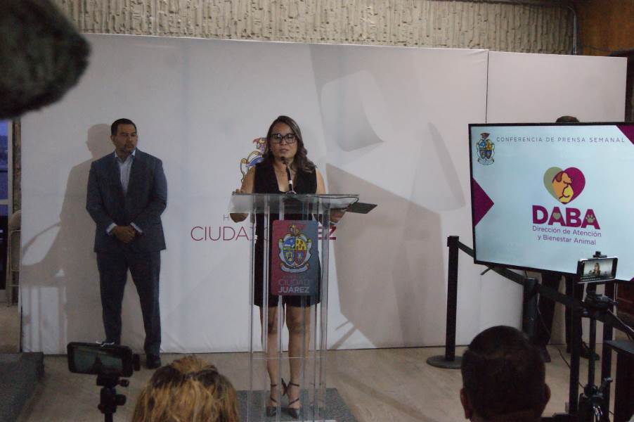 Reporta DABA ingresos de 134 mil pesos de multas por maltrato animal.