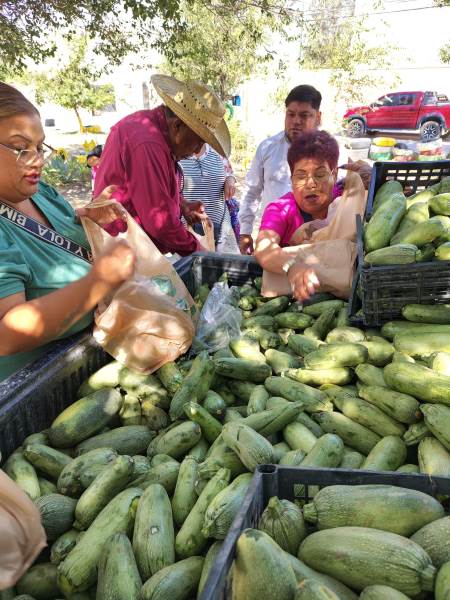 Distribuyen gratuitamente calabacitas a familias de Parajes del Sur