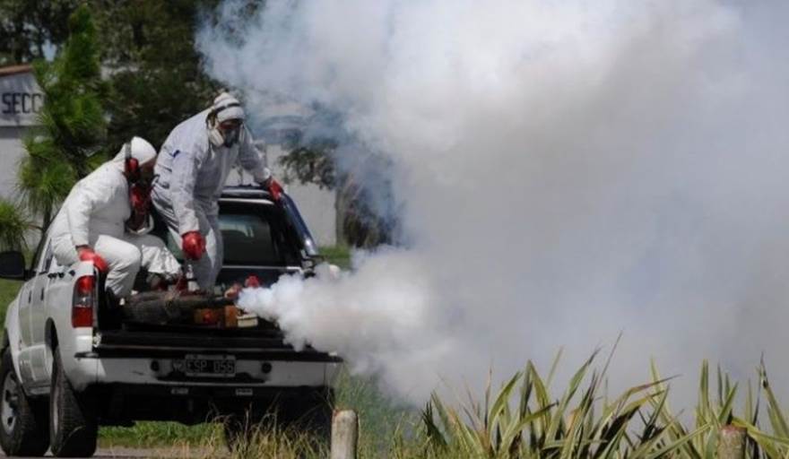 Anuncian campaña de nebulización para eliminación de moscos portadores de enfermedades