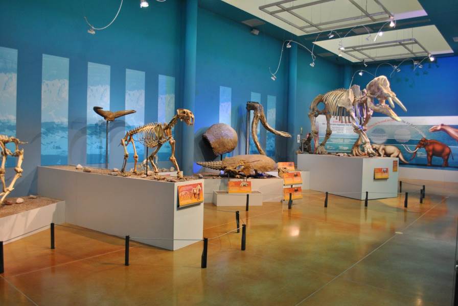 Promociona estado el Museo del Desierto Chihuahuense