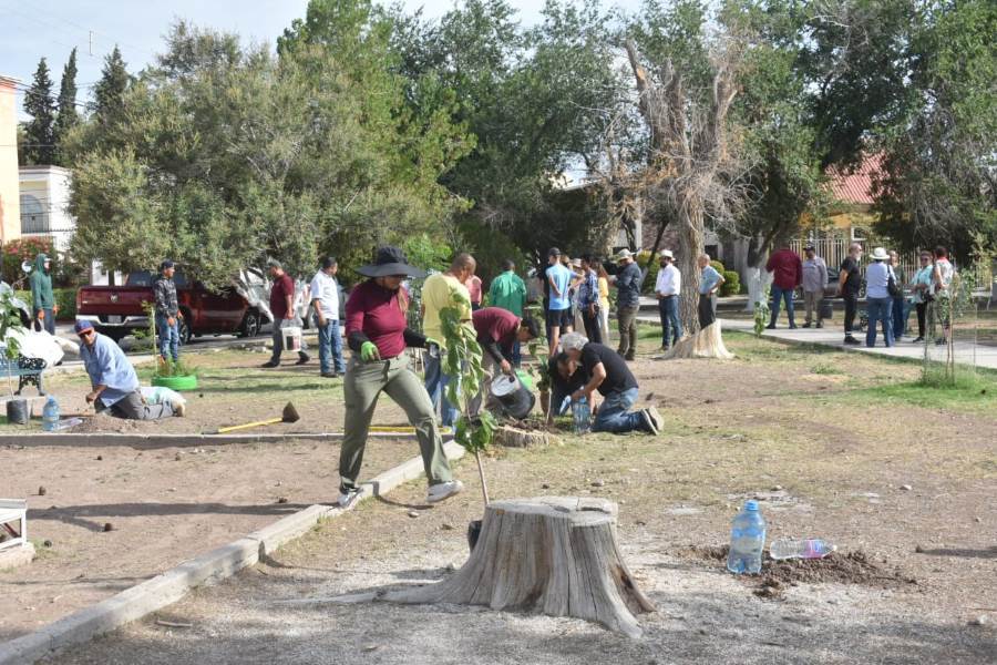 Reforesta Dip. Federal Electo Alejandro Pérez Cuéllar parque de la Monumental