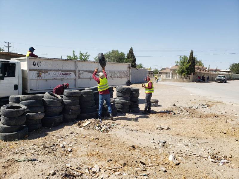 Retiraron 426 llantas de la colonia Salvarcar