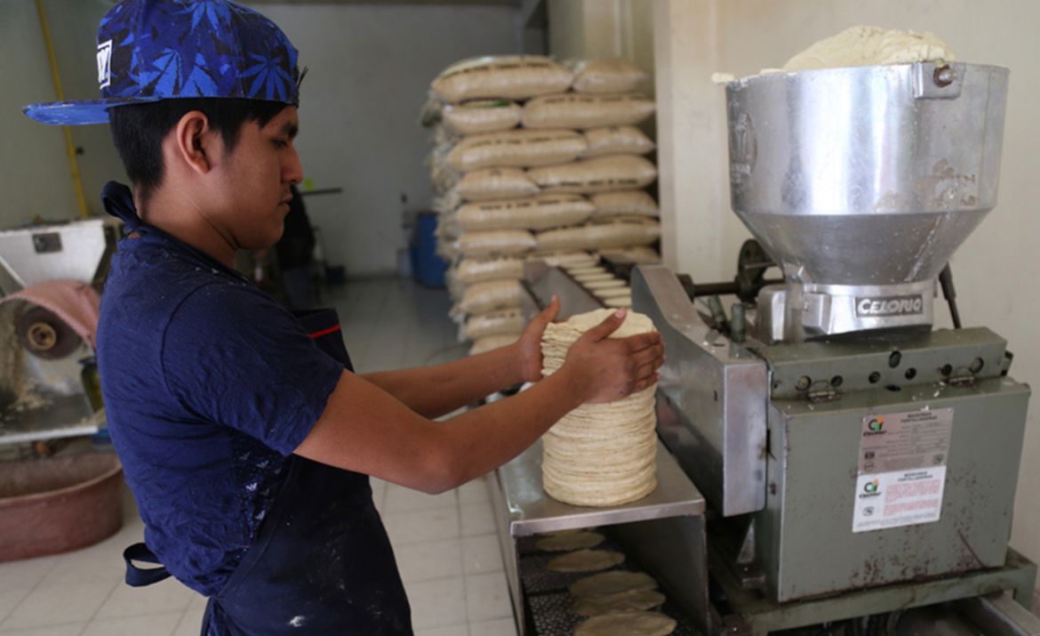 Aumentará a 22 pesos el kilogramo de tortilla de maíz