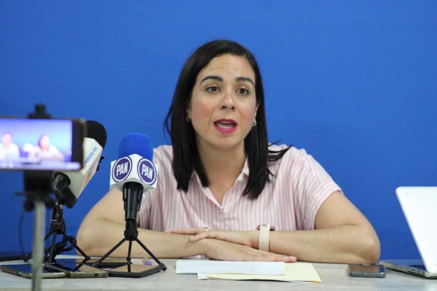 Presentarán demanda colectiva vs CFE