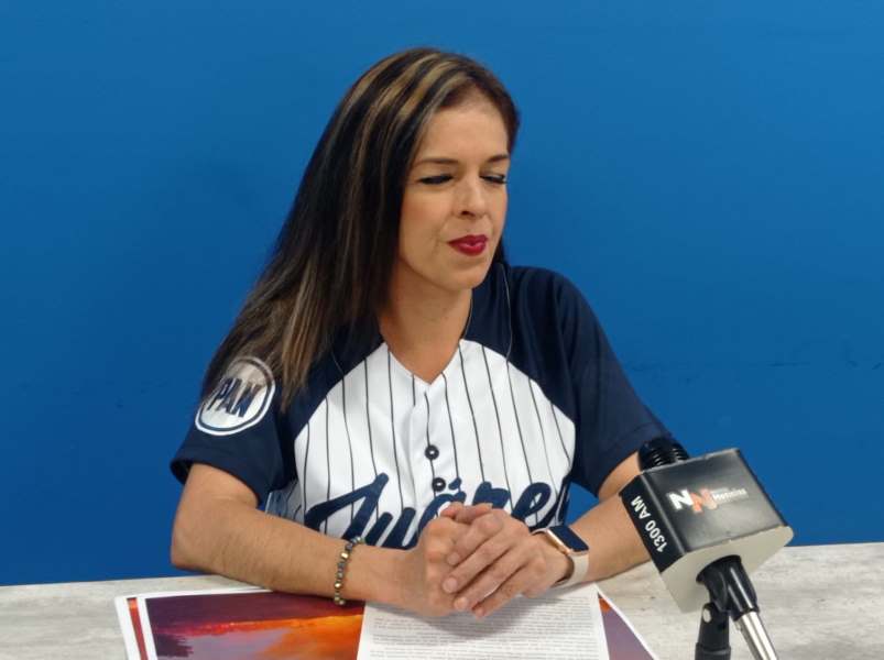 Pide PAN comparecencia de funcionarios para aclarar incendios.