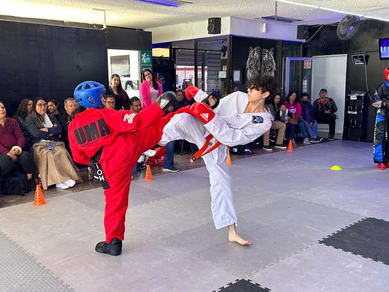 Artemarcialistas juarenses competirán en Tijuana, Baja California