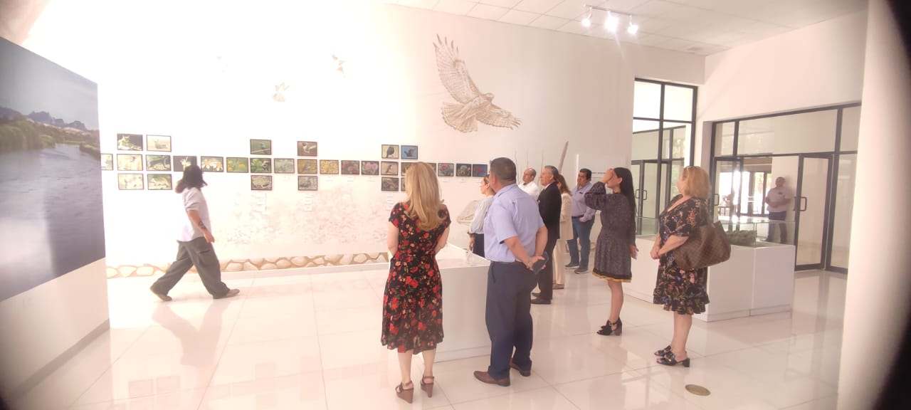 Promueve Instituto Municipal de la Juventud campamento para jóvenes