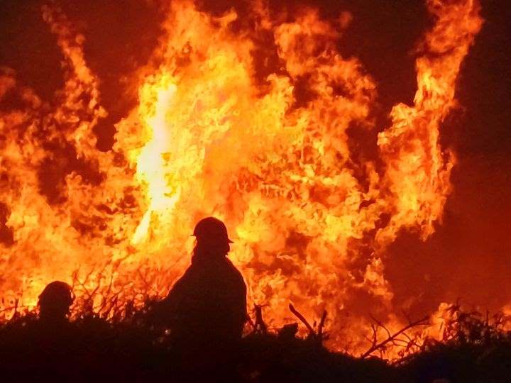 Solicitan regidoras destitución de funcionarios por incendios.