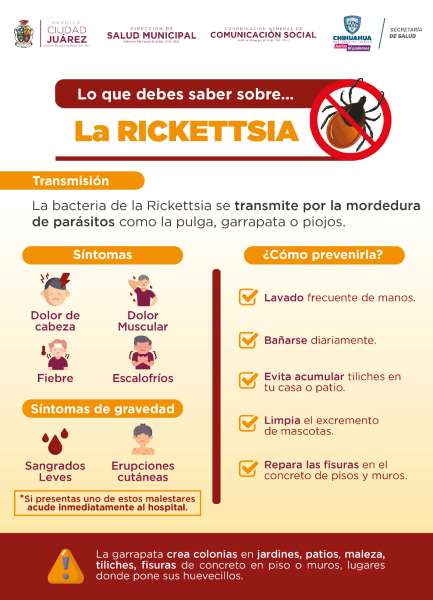 Persiste alerta por Rickettsia en ciudad Juárez