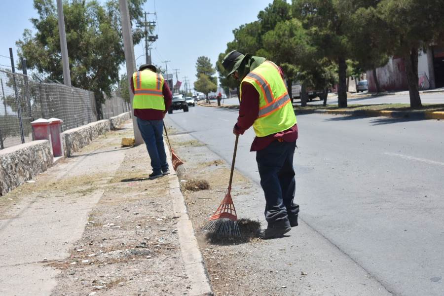 Dan mantenimiento al camellón ubicado en la calle David Herrera Jordán