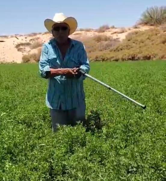 Mantiene Desarrollo Rural apoyo a los productores para mejorar sus tierras