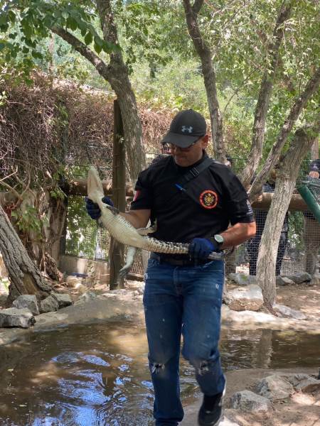 Capacitan personal de Protección Civil en manejo seguro de fauna silvestre