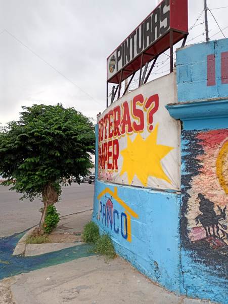 Continúa programa “El Cochino de la Semana” con apoyo ciudadano y nuevas sanciones