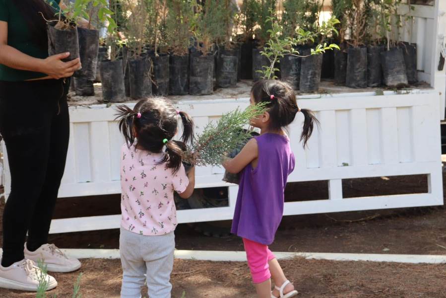 Donó Parques y Jardines más de tres mil árboles