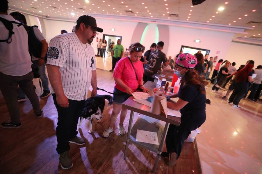 400 mascotas se esterilizaron por DABA en Expo Pets Juárez 2025