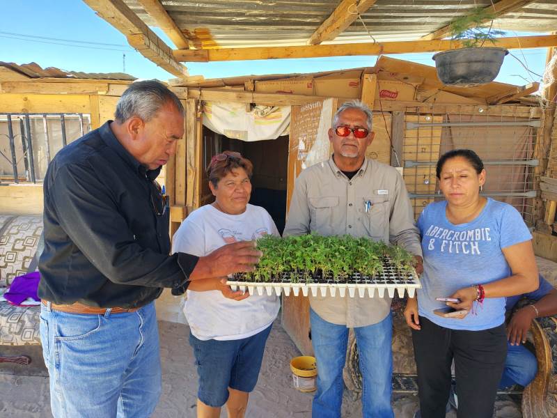 Apoya gobierno municipal desarrollo de hortalizas familiares