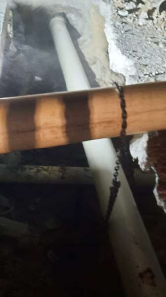 La JMAS repara línea de agua en Gómez Morín