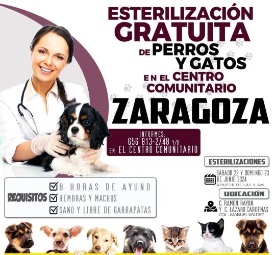 Centro Comunitario Zaragoza será la sede de esterilización masiva de mascotas