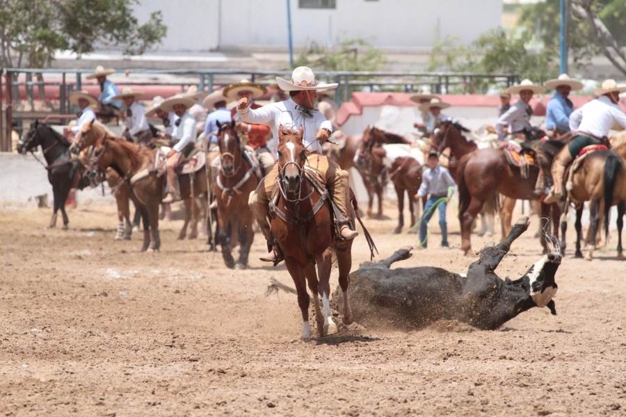 Competencia de charros y escaramuzas la próxima semana